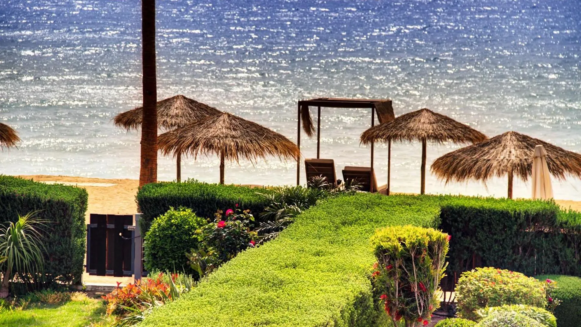 Luxury Beachfront Villa With Private Pool, Yoga & Sea Adventures contacts