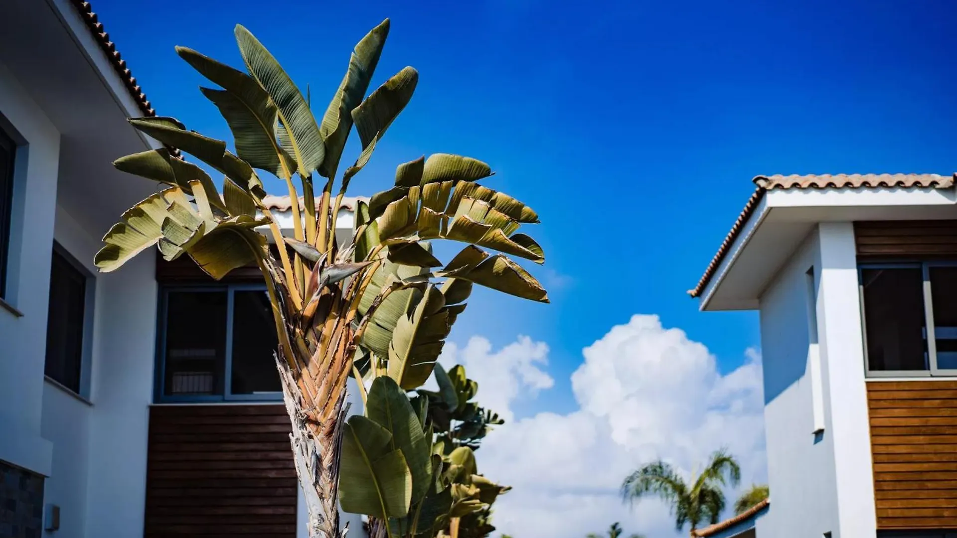 Luxury Beachfront Villa With Private Pool, Yoga & Sea Adventures Larnaca Holiday home