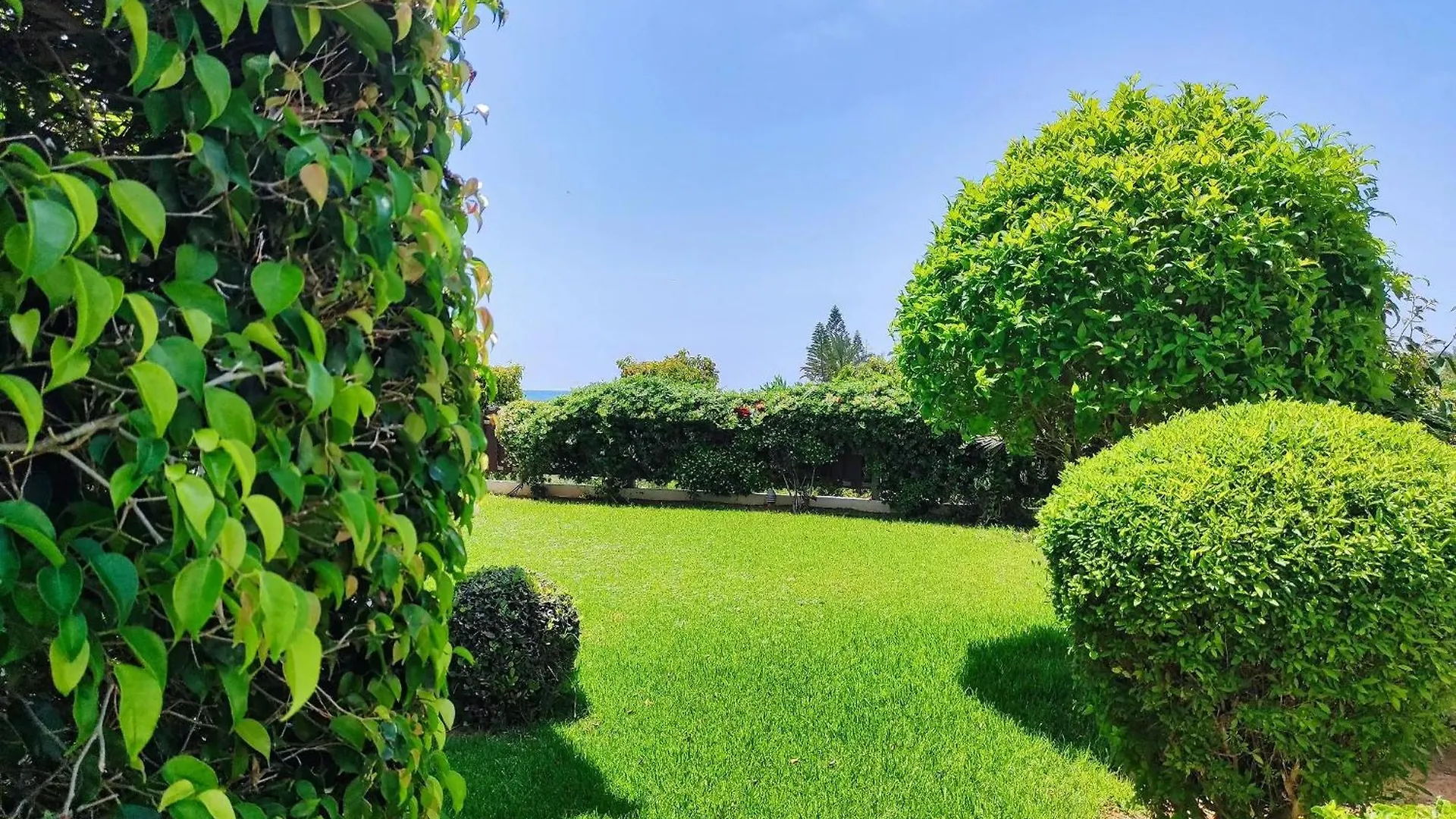 Luxury Beachfront Villa With Private Pool, Yoga & Sea Adventures Larnaca 0*,  Cyprus
