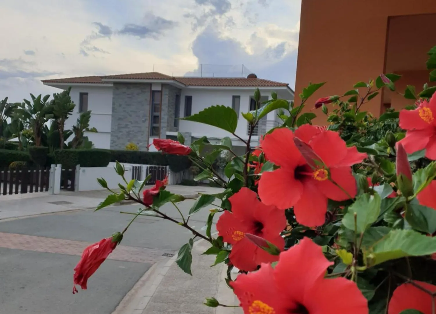 Luxury Beachfront Villa With Private Pool, Yoga & Sea Adventures Larnaca Holiday home