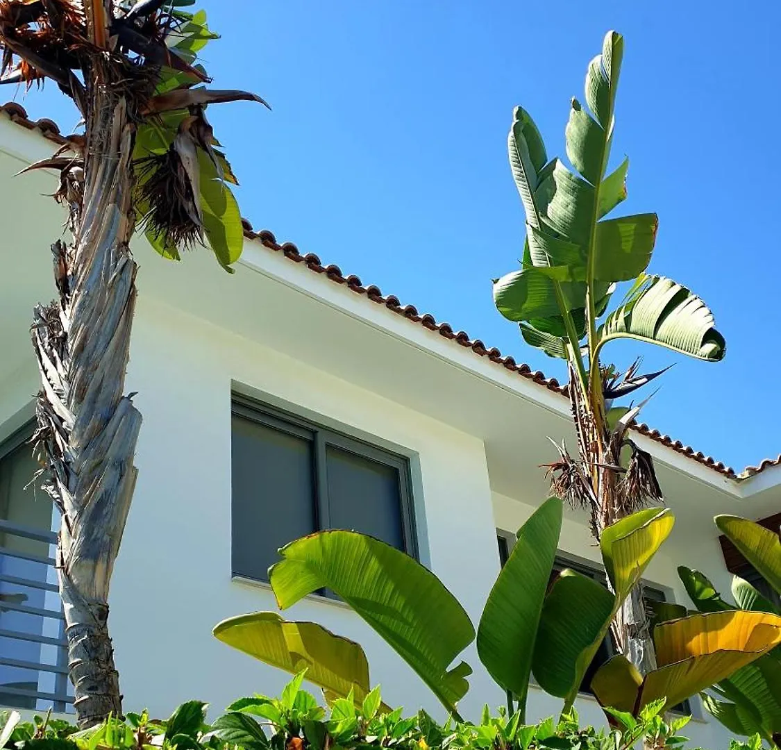 Luxury Beachfront Villa With Private Pool, Yoga & Sea Adventures Larnaca Holiday home